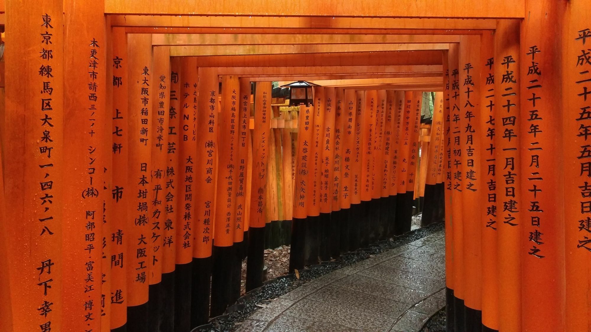 Sakura Fushimi Inari * Kyoto